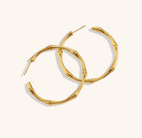 Gold bamboo hoop earrings